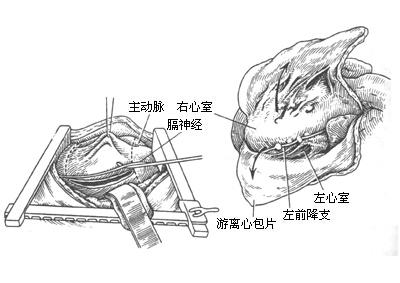 西医综合