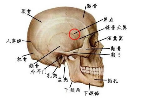颅脑损伤的临床表现